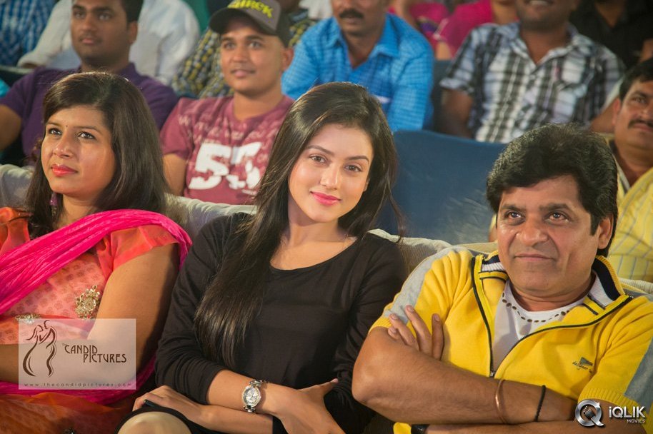 Chinnadana-Neekosam-Movie-Platinum-Disc-Function